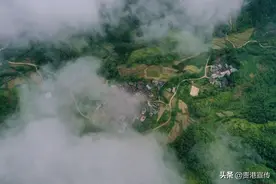 你未必知道！贵港这一传统手工制品，产于高山云雾中图片