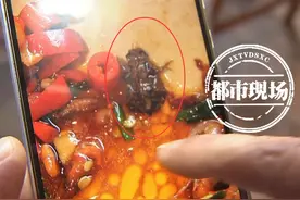 南昌：爆炒河虾里吃出“炸虫子”，顾客说吃进去的全吐出来了图片