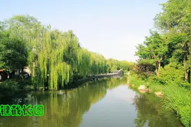 老年人学手机（163）浏览今日头条技巧之「一键截长屏」图片