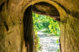 山西老农深山砍柴发现“藏金洞”，挖出一板车金子，兑换现场被抓图片