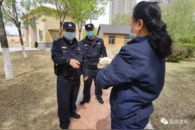 犬类专项整治进入监管处罚更严阶段！手把手教你办理犬证犬牌图片