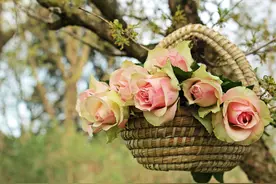 离婚对我的伤害太大，我该怎样从离婚的阴影中走出来图片