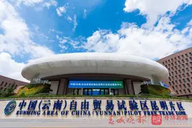 中国（云南）自由贸易试验区挂牌一周年，来看看昆明片区交出的“成绩单”图片