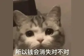 表情包 | 不要发了，这种东西我一点感觉都没有图片