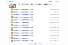 持续暴雨！湖北连发58条预警，武汉启动Ⅳ级应急响应图片