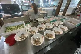 县长“挂帅”！一个多月营业额超50万元，济南这里有家羊汤店，你去喝过吗？图片