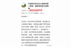 有网友建议打通纸坊到光谷大道高架第二通道，缓解藏龙岛拥堵图片