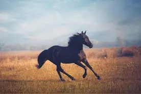 从二档高中到一本率90%，合肥的这所中学诠释了什么是“黑马”图片