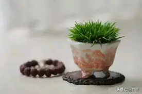 农村光棍的未来之路图片