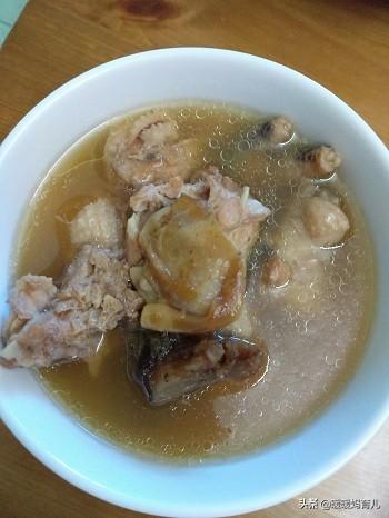 小朋友能吃花胶鸡汤吗 小朋友能吃花胶鸡汤吗早餐