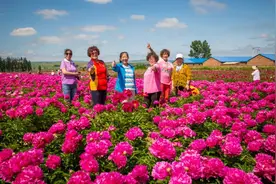 惊艳！延边已花开如海，承包夏日所有浪漫！图片
