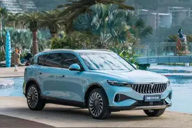 如果你为了“绿牌”考虑它，那买之前请想清楚图片