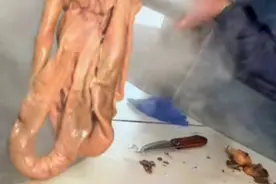 河南乡镇驴肉馆，80元一斤，日卖两三头，出锅就排队图片