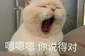 抖音表情包：哼 老娘就不睡，台阶呢能不能给个台阶，七夕快乐图片