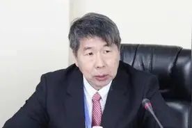 走进台湾张亚中的历史，和平至上的政坛书生难以挽救腐朽的国民党图片