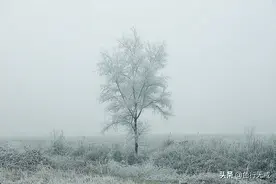 摄影宝库，古海岸湿地的冬韵图片