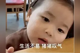 表情包：生活不易，猪猪叹气图片