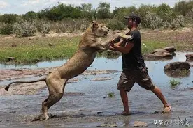 狮子向男子扑去，以为会出现悲剧，结果却温馨感人，大开眼界图片