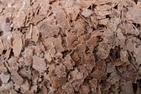 农村榨花生油不用钱，但榨出来的花生渣不给你，他们拿来干什么？图片