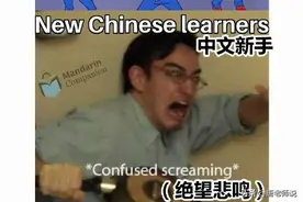 外国网友吐槽学中文，集体化身“段子手”，像极了学英语时的我图片
