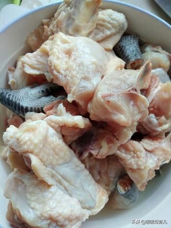 花胶和什么煮汤给宝宝吃 2026年花胶配什么煲汤给儿童吃最好