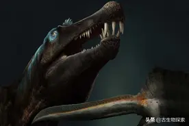 重大发现！棘龙原来是长着鳗鱼尾的游泳高手图片