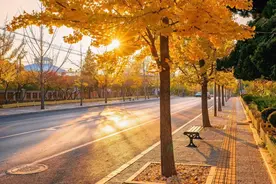 谢邀，人在东北，刚成为街溜子图片