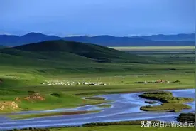 “草原雄鹰”捕鼠脱贫路图片