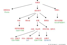 疑似成吉思汗黄金家族的所有DNA汇总图片