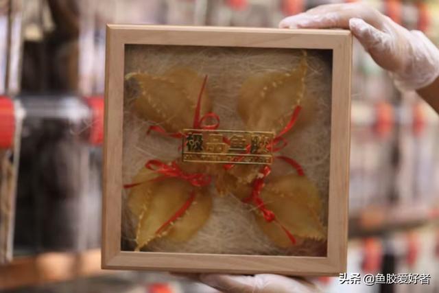 花胶有洞是不是不好 2026年花胶有洞是不是不好食用 花胶有洞是不是不好 2026年花胶有洞是不是不好食用