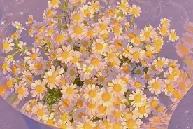 奋斗的年纪，不要选择安逸图片