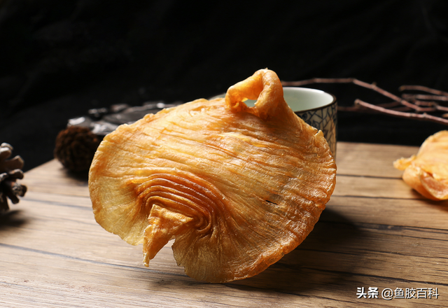 花胶百度百科 2026年花胶秒懂百科