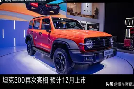 新车 | WEY坦克300再次亮相 预计12月上市图片