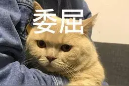 女教师找对象，究竟有多难？图片