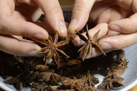 买八角时认清“直角”与“钩角”很多人都买错了，假八角有“毒”图片