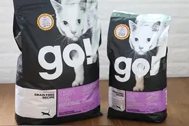 “go猫粮”事件后续：有消费者花了7000元治疗费用，商家回应只退货不报销图片