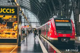 城市养狗备受争议，国外宠物随主人乘坐火车旅行，文明养狗很重要图片