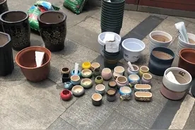 成都的地摊小姐姐迎来"助手" 月赚奔驰可期？图片
