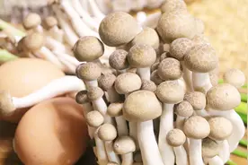 1把蟹味菇，2个鸡蛋，学会这道汤的做法，家里隔三差五就要做一次