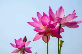 教龄15年，副高7级，每月打卡工资有多少呢？看看新疆老师的月薪图片