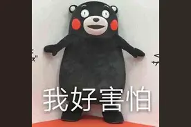 事发长沙！成群蜜蜂往家里飞！专家：这个季节高发！千万不要自行处理图片