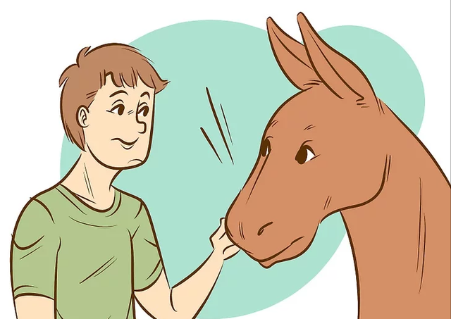 牵着不走，打着倒退，如何科学地驯服一头犟驴？