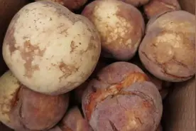 买“爆炸桃”是交智商税？专家：尽管很丑，但有“内涵”图片