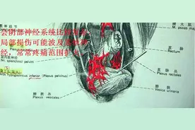 男性阴茎痛怎么治疗图片