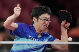 水谷隼隐退并非仅仅因为眼疾，媒体突袭采访已干扰其家庭生活图片