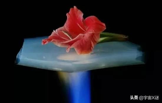 阿拉伯胶和明胶的区别 2026年阿拉伯胶和明胶的区别在哪