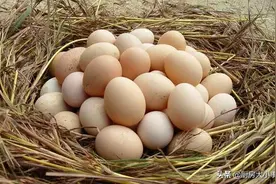 水煮蛋不要再加冷水了，教你1个技巧，一敲蛋壳就掉，蛋黄还酥软图片