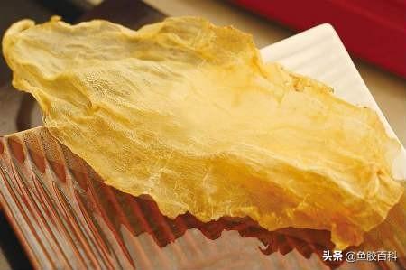吃了花胶没变化 2026年吃花胶一段时间像换了个人
