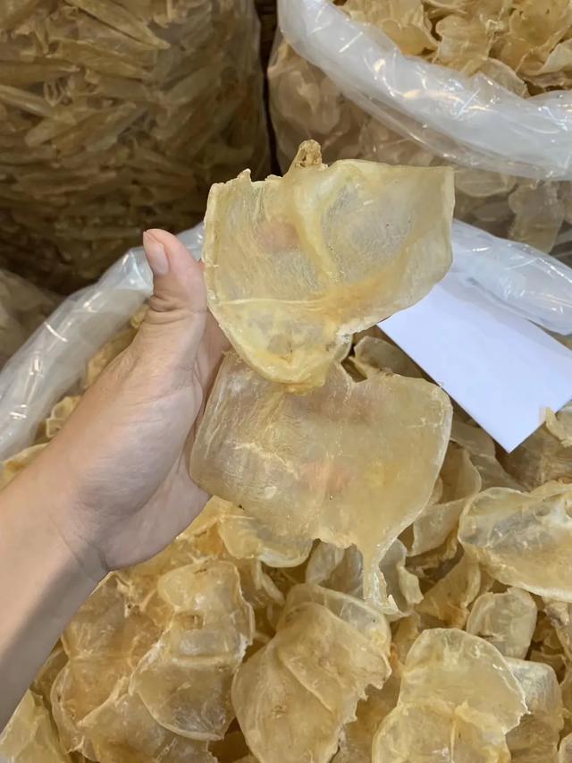 蝴蝶花胶图片 2026年蝴蝶花胶图片高清大图