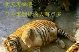 继滑铲杀虎名场面后，网友的脑洞大开的漫画图片